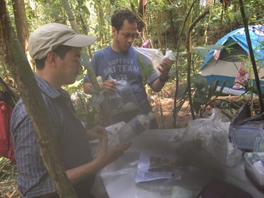 Unah-vs y Dima investigan la calidad del agua en tres cuencas de El Merendón