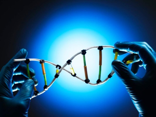 Un gen podría aumentar el riesgo de melanoma