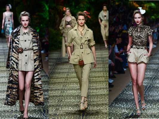 Explorando el estilo Safari&nbsp;&nbsp;