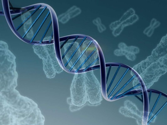 Descubierto un gen que puede ayudar a desarrollar métodos contra el dolor