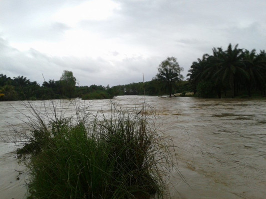 Evacúan a 266 personas en Tela por lluvias