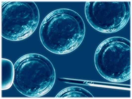 Con células madres crean un intestino