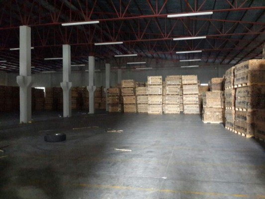 Las autoridades confirmaron que esta madera pertenece a la empresa Impex, S. de R. L