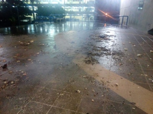 Francisco Herrera rectorará la Unah durante seis meses