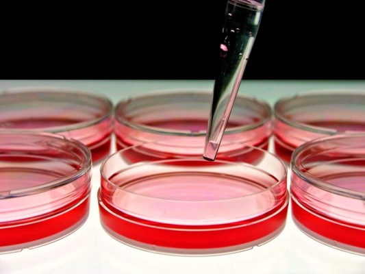 La terapia génica se posiciona contra cánceres de sangre y sistema inmune