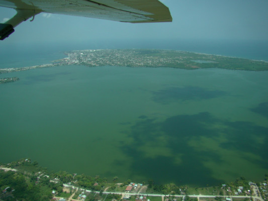 Al fin inician recuperación de la laguna de Alvarado en Puerto Cortés