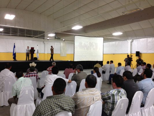 Ganaderos en alerta por brote de tuberculosis y brucelosis bovina