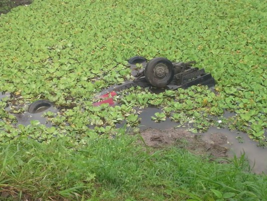 Ultiman a productor de palma africana y amigo en El Progreso