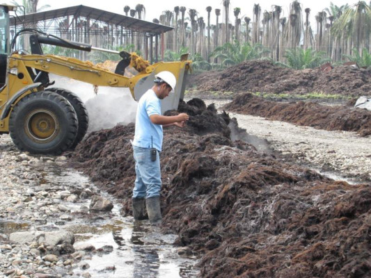 Realizarán conferencia sobre biogás en Zamorano