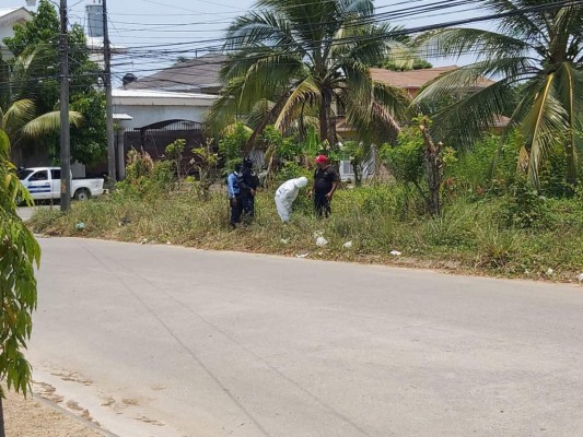 Dos hombres muertos tras hechos violentos en La Ceiba