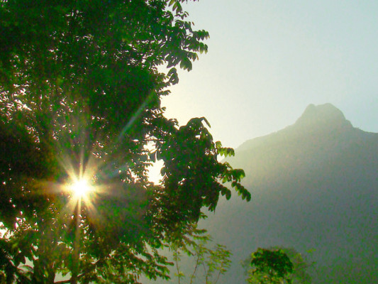La Ceiba… de colección