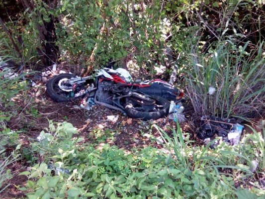Conductor de moto muere tras estrellarse contra un bus