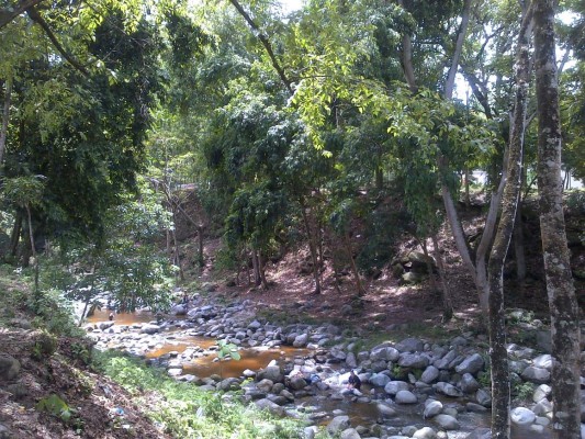 Diez áreas de reserva son declaradas zonas de riesgo