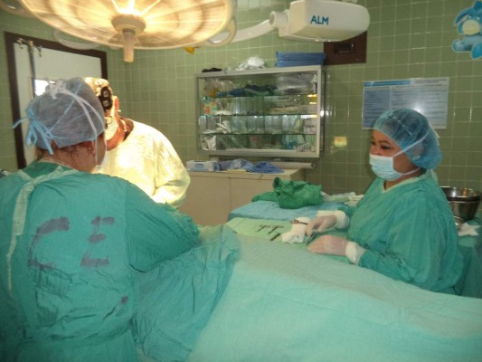 Seis brigadas están previstas para lo que falta del año