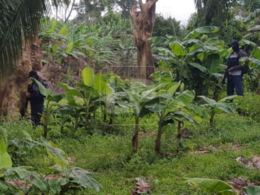 Hallan cadáver de Glenis Castillo y detienen a presunto responsable de su muerte