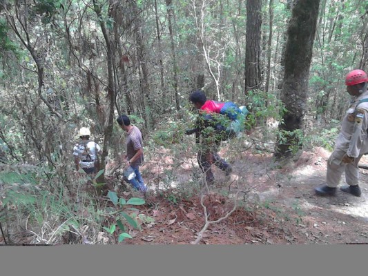Hallan a geólogo que se extravió en el punto más alto de Honduras