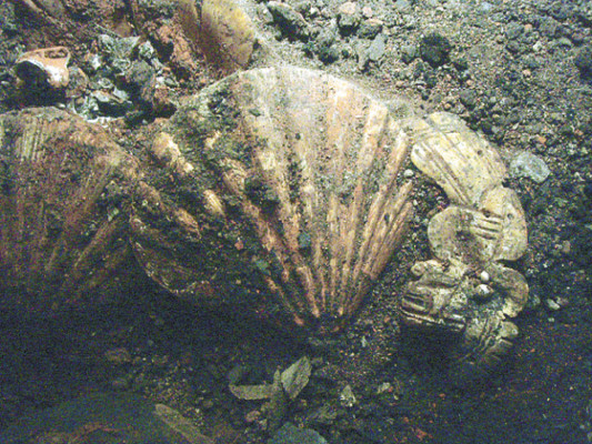 La unión con Teotihuacán