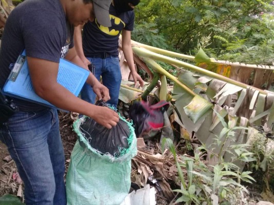 Ejecutan allanamientos en el norte y occidente de Honduras