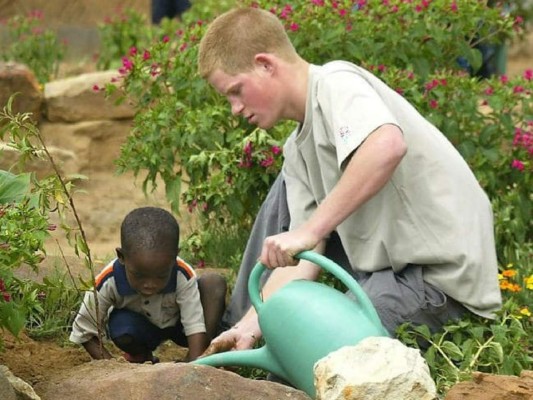'El buen amigo gigante” se estrena en cines hondureños