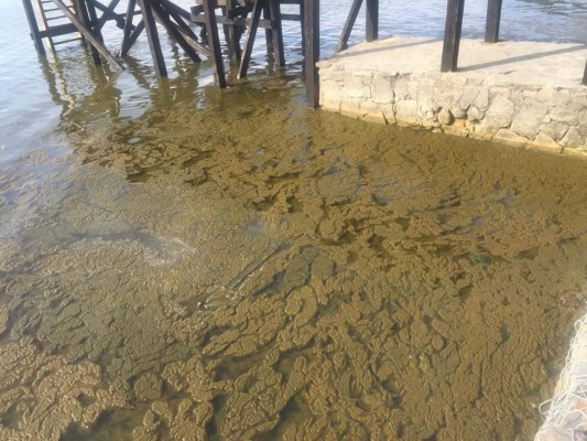 Cómo cambió de color el lago de Coatepeque en El Salvador