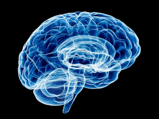 Vitaminas para el cerebro