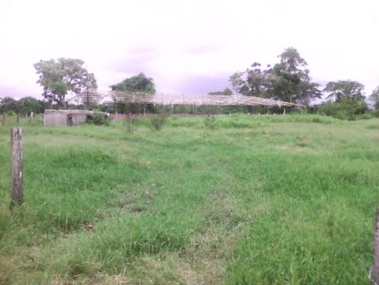 Aseguran más propiedades a Los Cachiros en Honduras