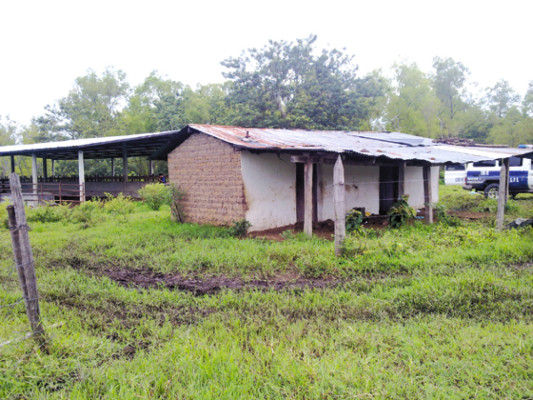 Armas de guerra hallan en hacienda de Yoro