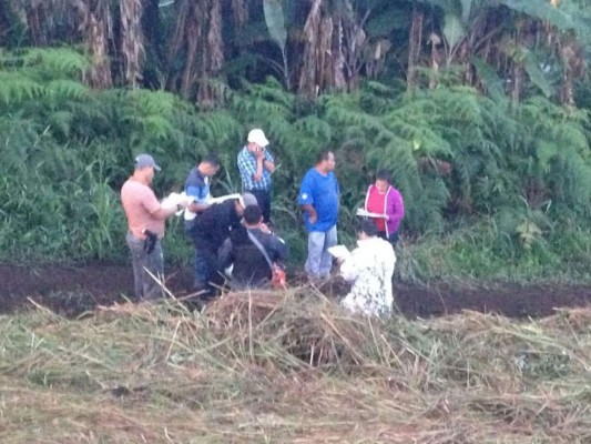 Abominable asesinato de tres hermanitos en el norte de Honduras