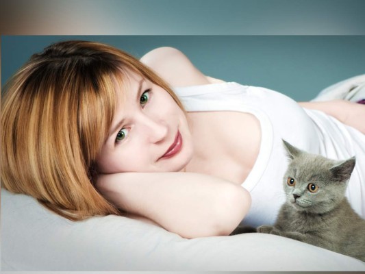 No eches al gato de casa