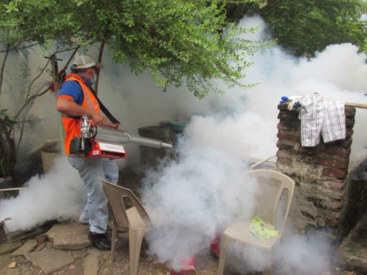 Epidemiólogos: el zika no es peor que el dengue