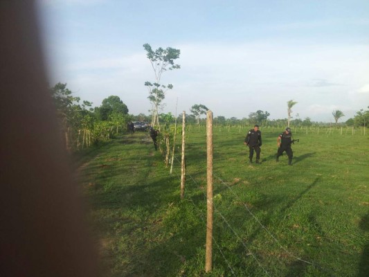 Ataque en hacienda del Bajo Aguán deja dos muertos