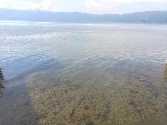 Cómo cambió de color el lago de Coatepeque en El Salvador
