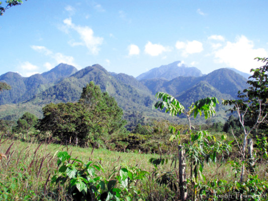 El escondite del azul