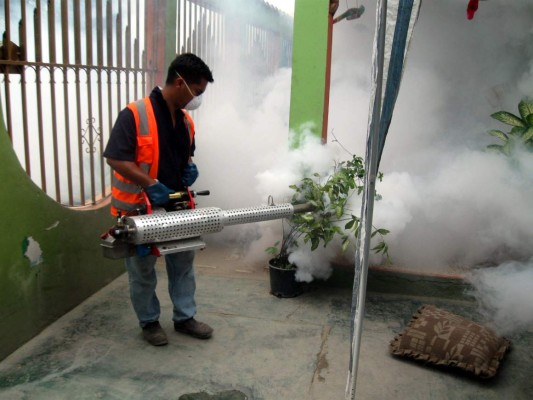 Chikungunya persiste en el sureste de San Pedro Sula