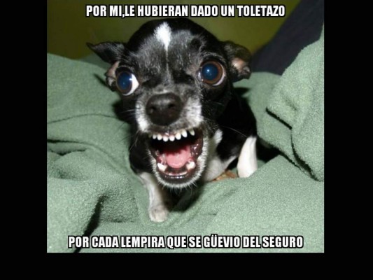 Resaltan en redes los memes de Mario Zelaya, exdirector del IHSS