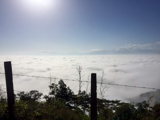 Pinalejo, cuna de presidentes, de gente amable y laboriosa