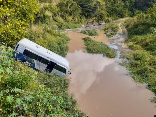 Bus cae en hondonada y deja cuatro heridos: rescatista resulta atacado por una boa