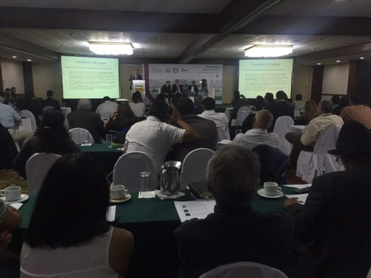 Icefi sugiere elevar la inversión en el área rural