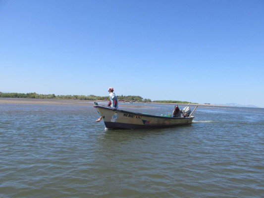 Financiarán repoblación pesquera en golfo de Fonseca