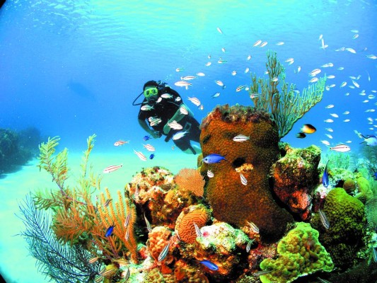 Roatán, lujo al natural