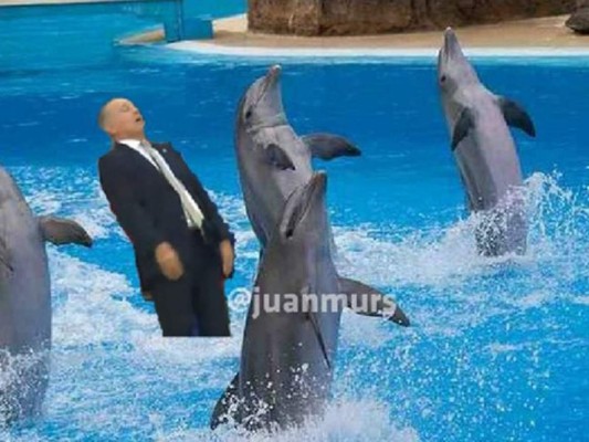 Los memes que dejaron los cuartos de final: Sabella protagonista