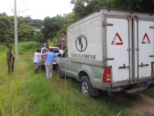 Tras cortar leña lo matan de un disparo