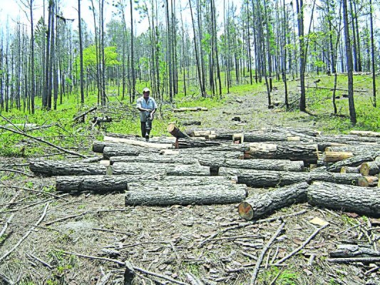 Foto: La Prensa