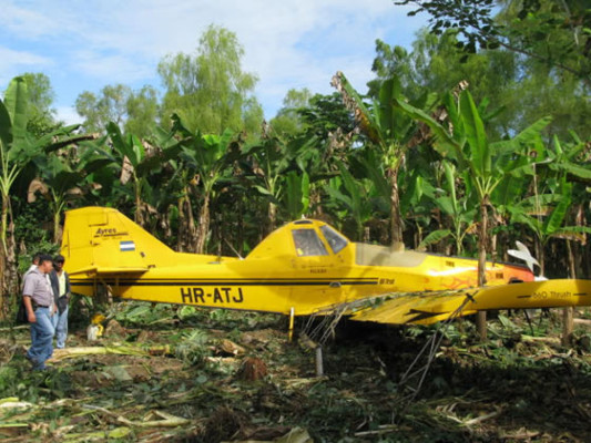 Se accidenta avioneta fumigadora de la Standard