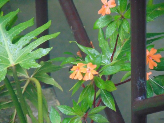 La Tigra, un destino místico que deslumbra a primera vista