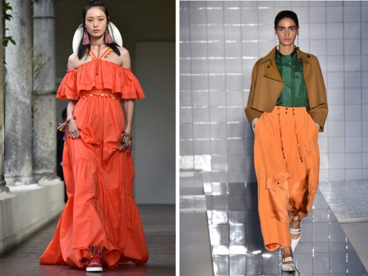 Naranja dulce para tu día a día