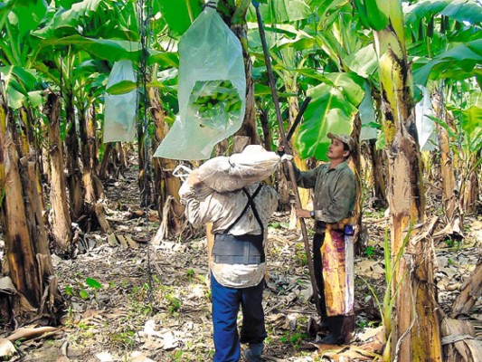 No hay agua, ni combustible, pero los cultivos no sufrieron daños
