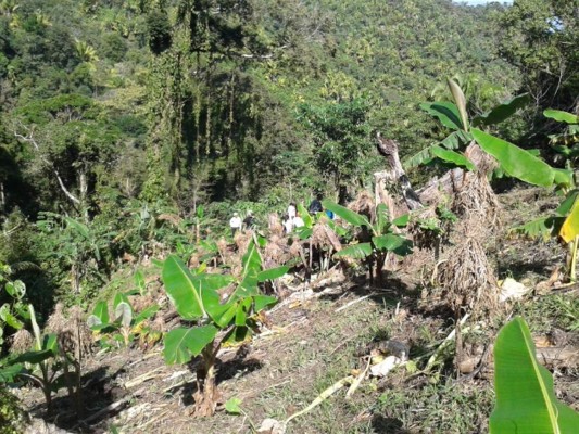 Amenazados los deportes extremos en La Ceiba por daño en cuenca del Cangrejal