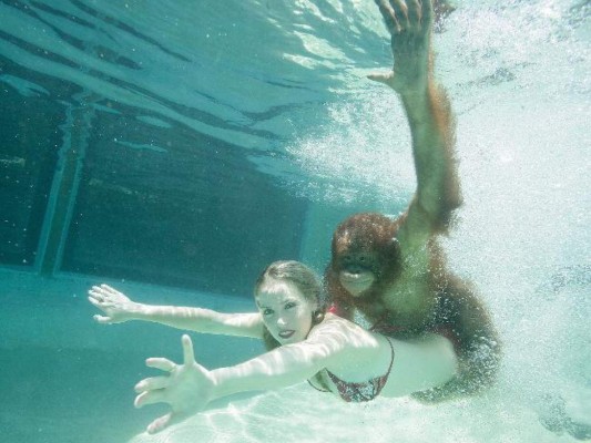 El orangután que bucea
