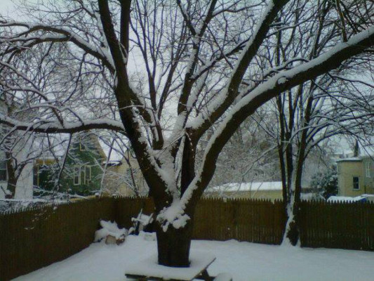 Fotos de hondureños afectados por la tormenta de nieve en EUA